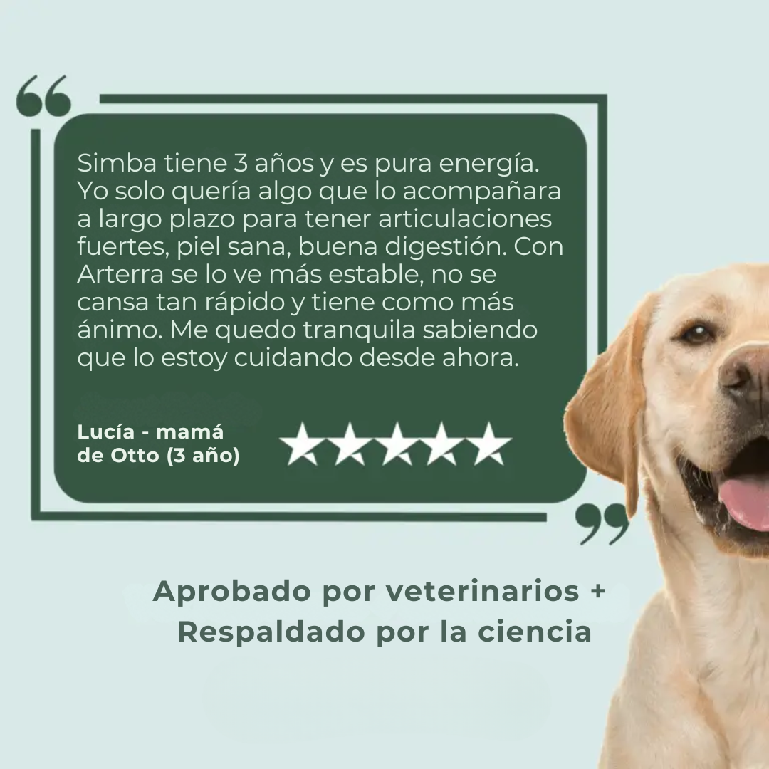 AgeVital | Más años, más vida, más juego