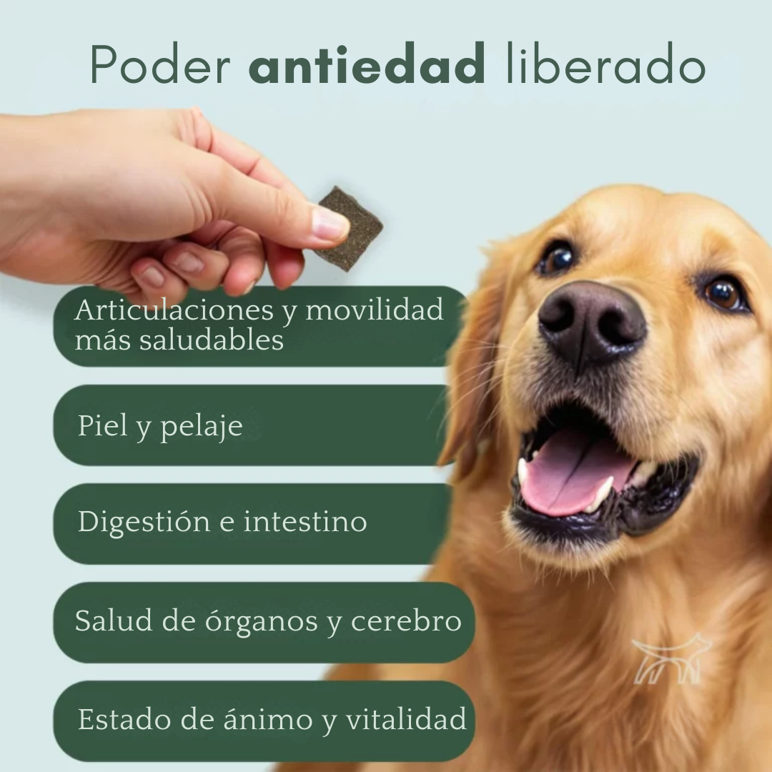 AgeVital | Más años, más vida, más juego