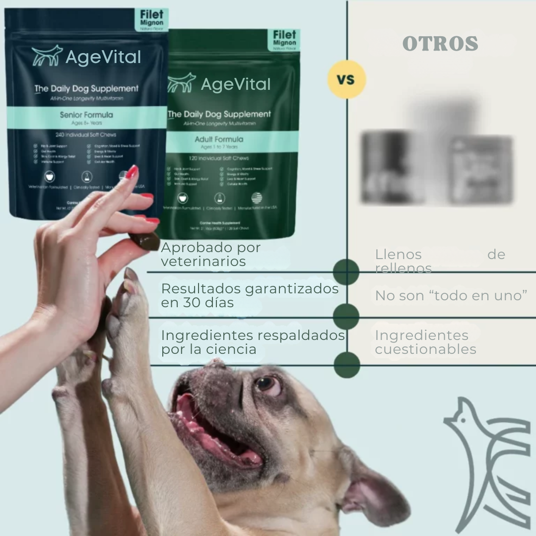 AgeVital | Más años, más vida, más juego