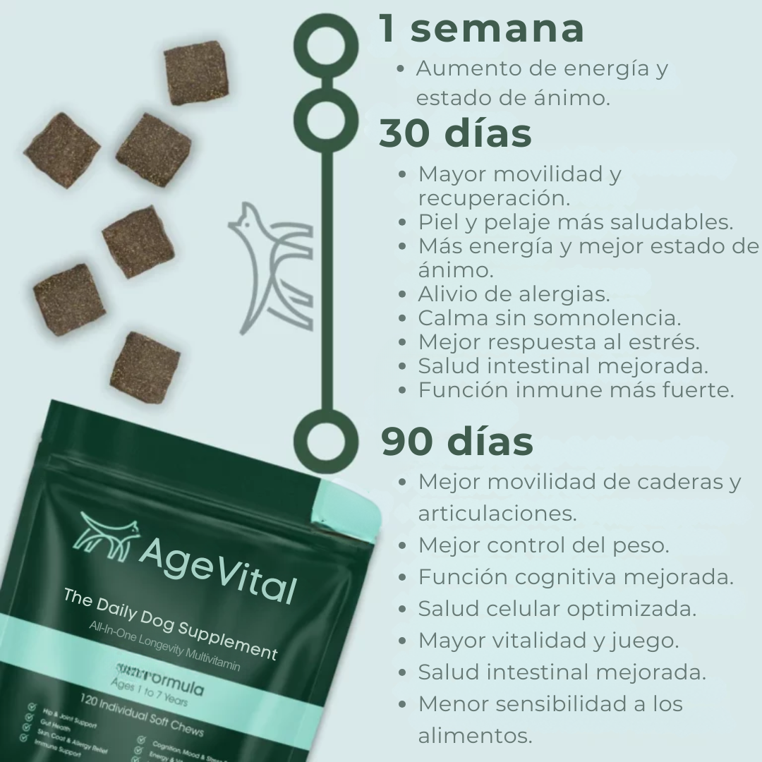 AgeVital | Más años, más vida, más juego