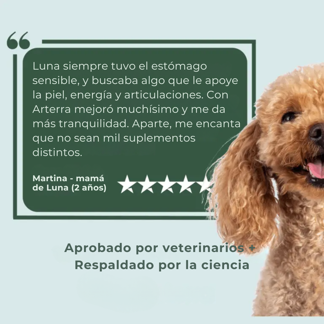 AgeVital | Más años, más vida, más juego